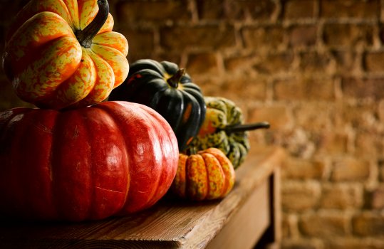 Food photograph of a selection of fresh autumnal squash shot in a home style setting on a farmhouse table with a red brick wall in the background