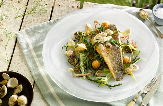 Aerial food photograph of a homemade seafood dish, a crispy pan fried fillet of sea bass served with brown shrimp, samphire, crispy fried leeks with bacon and clams, served on a frosted glass plate in an outdoor setting with a vintage tea towel and vintage cutlery