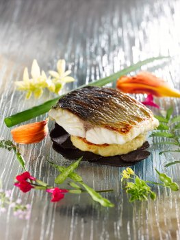 Food photograph of a fine dining fish course, pan fried crispy skinned sea bass fillet shot on top of smooth potato puree and sliced black truffles with scattered edible wild flowers on a glass sheet