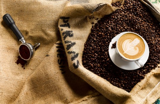 Aerial food photograph of a cup of coffee with a tulip of latte art in the foam, shot in an open sack of coffee beans with a coffee shop group head filled with ground coffee, and ground coffee scattered onto the sack