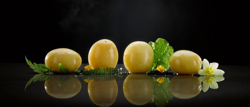 Food photograph of Pembrokeshire early potatoes, four perfectly steamed smooth golden baby potatoes shot in a line with edible flowers and herbs, on a reflective mirror table with a black background and wisps of steam