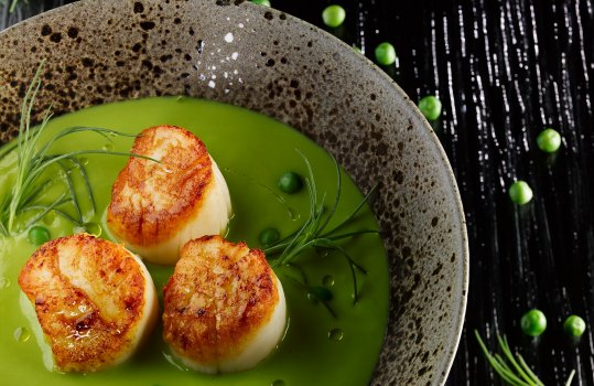 Aerial food photograph of a fine dining dish, three golden seared scallops in a pool of bright green pea soup, shot in a black textured bowl against a shiny black background