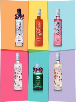 Drinks photograph of six bottles of vodka and gin, each shown isolated on a coloured background with a small shadow and reflection, each bottle is isolated against a different pastel colour