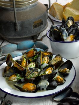 Food photograph of an enamel dish filled with steamed mussels in white wine sauce, with a bucket of empty mussel shells in the background alongside other seaside equipment such as a shipping rope