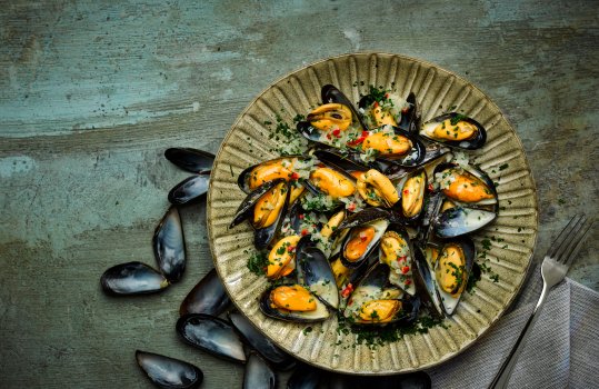 Aerial food photograph close up of a bowl of Welsh Conwy mussel moules marinieres, plump bright mussels in a white wine and cream sauce with a sprinkle of parsley, shot on a textured teal background with scattered mussel shells