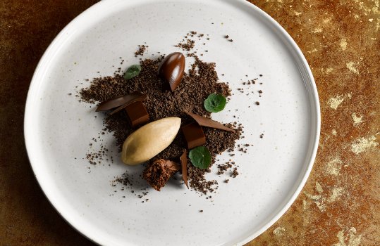 Food photograph of a fine dining dessert, chocolate crumb topped with chocolate ganache cubes, chocolate shards, chocolate brownie, a rocher of caramel ice cream and nasturtium leaves. Served on a white plate on a rust and gold background