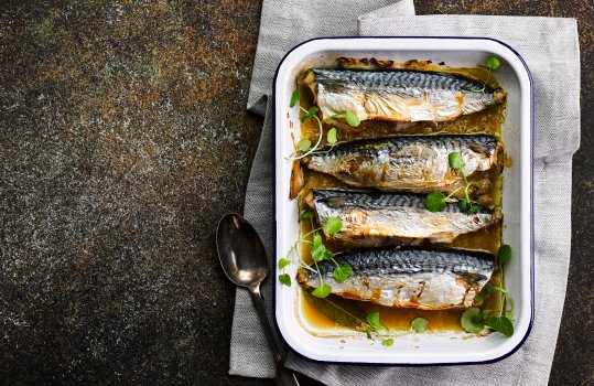 Aerial food photograph of whole shimmering mackerel baked in cider, garnished with watercress and baked in an enamel tray, served on a grey napkin on a paint speckled tabletop