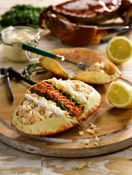 Food photograph close up of a dressed crab, white and brown crab meat dressed with mayonnaise, lemon and parsley, and served in the crab shell on a wooden board with squeezed lemon halves, an empty crab shell and a whole crab in the background with a bunch of parsley