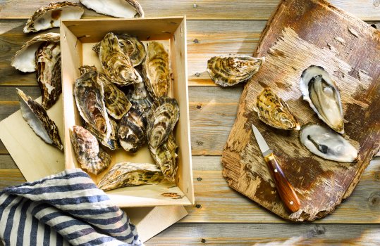 Aerial food photograph of a selection of Welsh oysters, empty shells are scattered on the tabletop, while whole oysters sit in a wooden box, and shucked oysters on the half shell sit on a cutting board alongside an oyster knife